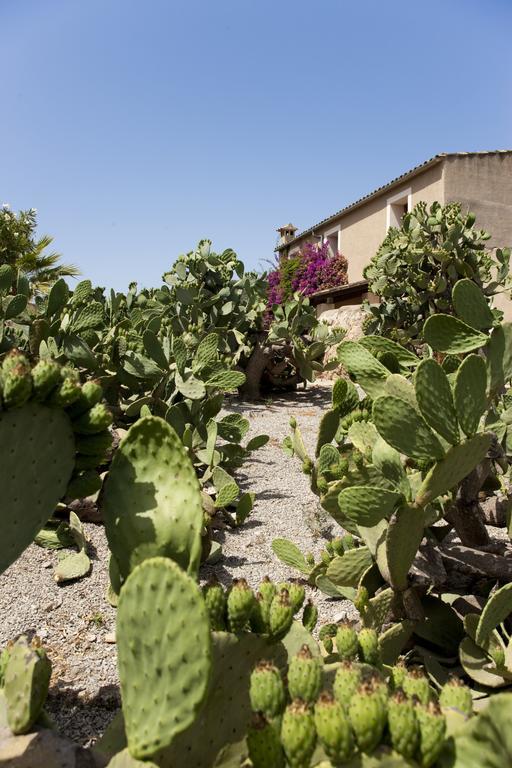 Agroturismo Can Patro Manacor (Mallorca) Exterior foto
