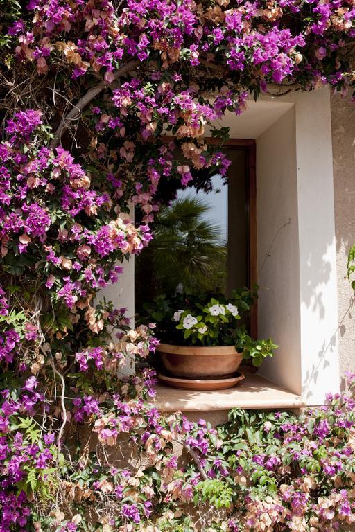 Agroturismo Can Patro Manacor (Mallorca) Exterior foto